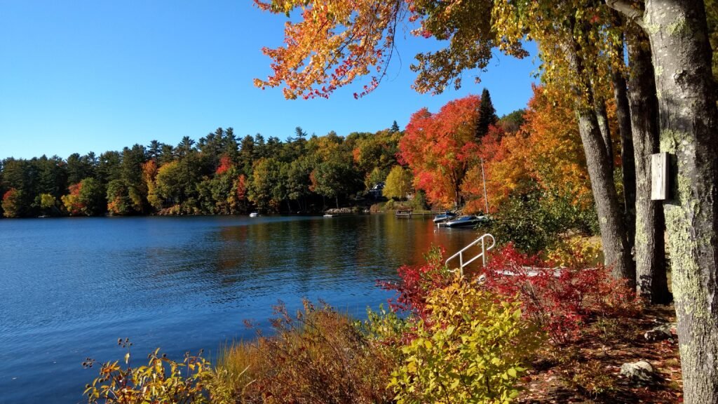 Early fall shoreline