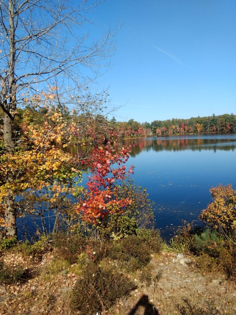 Thomas Pond