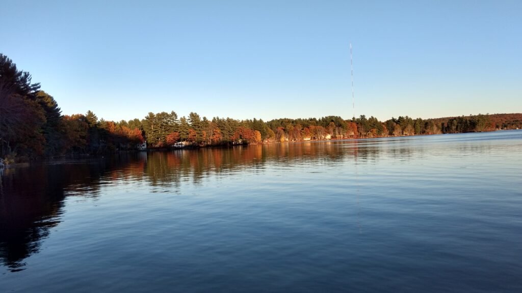 Foliage along Thomas Pond