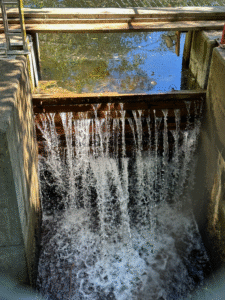 seepage through Thomas Pond dam