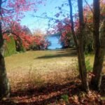 View of Watkins Shores common area