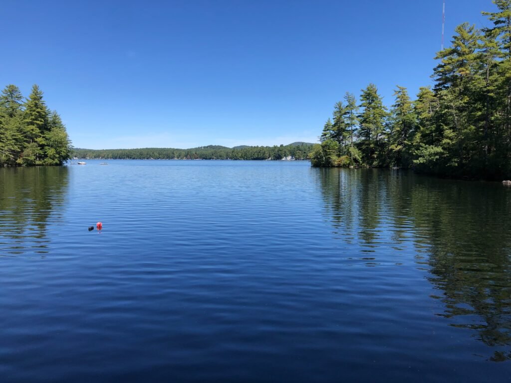 Thomas Pond looking north