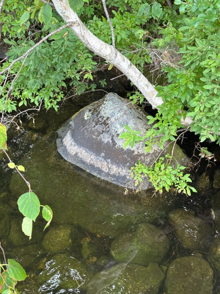 Rock showing water level well below the normal high water level